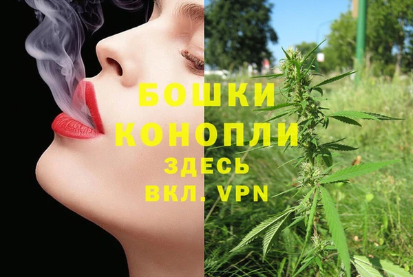 трава Переславль-Залесский